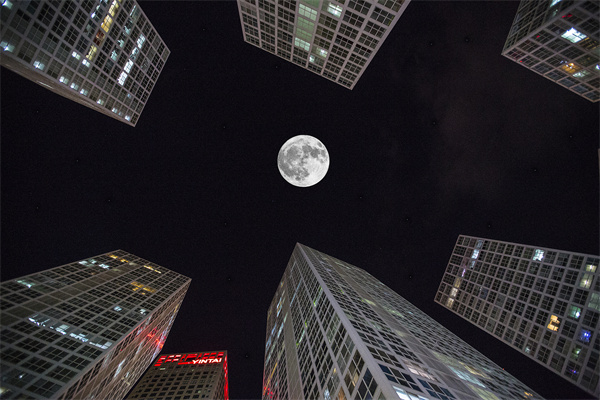 「營(yíng)銷管理咨詢」解鎖社交媒體的力量，讓品牌騰飛！