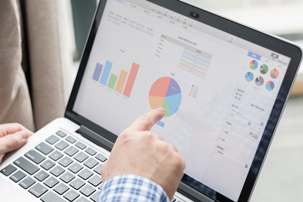 預(yù)算控制咨詢：協(xié)助企業(yè)建立控制體系，確保預(yù)算執(zhí)行