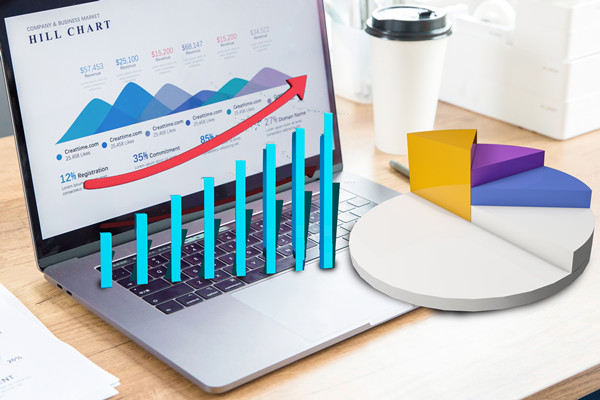 預(yù)算分析：通過數(shù)據(jù)分析，優(yōu)化預(yù)算管理