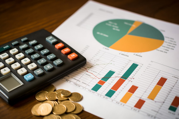 強化集團管控：財務(wù)，人力資源，信息技術(shù)的整合