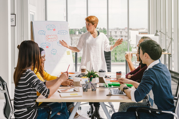 集團管控中的組織結構優(yōu)化：原則、方法與實踐