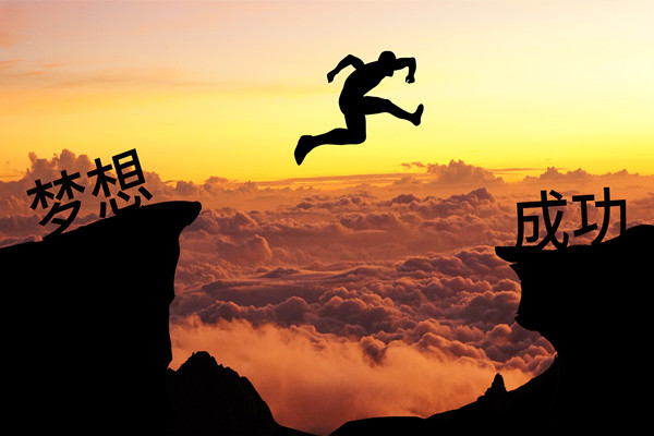 績效管理：應(yīng)對變革挑戰(zhàn)，推動組織變革成功