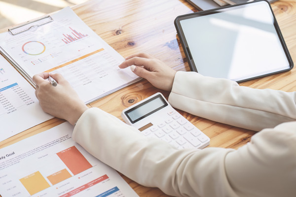 年度風(fēng)險防控計劃：風(fēng)險防范，穩(wěn)健前行