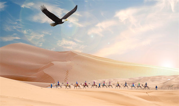 集團管控升級迭代，激發(fā)企業(yè)活力，實現(xiàn)持續(xù)領(lǐng)先