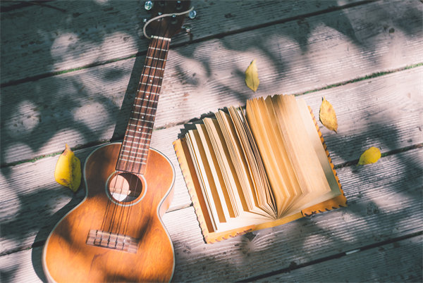 促銷策略：激發(fā)消費者購買欲望，促進銷售增長