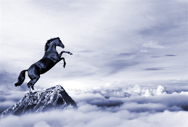 深度整合企業(yè)戰(zhàn)略資源，構建高效運營管理體系