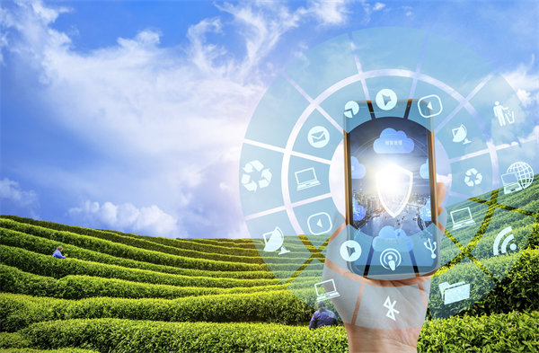 在精益轉(zhuǎn)型中，如何平衡標準化作業(yè)與靈活性需求？