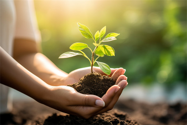 可持續(xù)發(fā)展成為趨勢，企業(yè)如何融入綠色戰(zhàn)略以促增長？