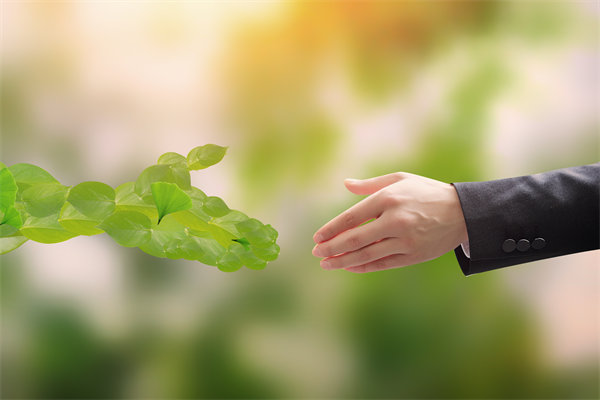 可持續(xù)發(fā)展成為趨勢，企業(yè)如何融入綠色戰(zhàn)略以促增長？