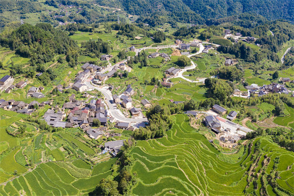 麗水人力資源咨詢公司如何優(yōu)化企業(yè)人才布局？