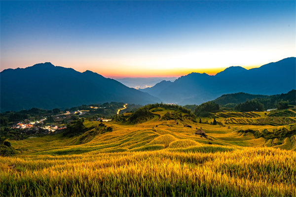 麗水組織規(guī)劃咨詢公司如何為企業(yè)構建高效組織架構？