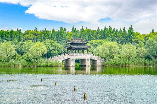 常州組織規(guī)劃咨詢(xún)公司如何設(shè)計(jì)高效組織架構(gòu)？