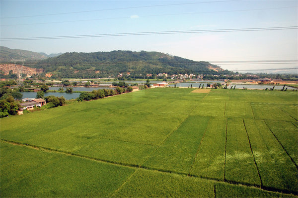 清遠(yuǎn)營銷咨詢公司如何精準(zhǔn)定位企業(yè)目標(biāo)市場？