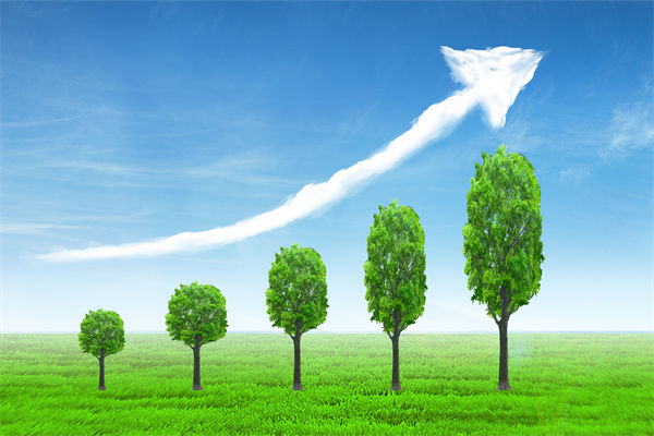 植樹就是植未來，對(duì)企業(yè)的戰(zhàn)略規(guī)劃有哪些啟示？