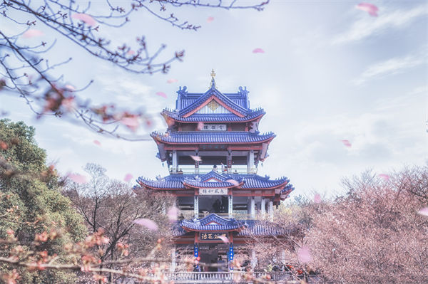 供應(yīng)鏈成本居高不下，無(wú)錫供應(yīng)鏈咨詢公司如何精準(zhǔn)砍出利潤(rùn)空間？