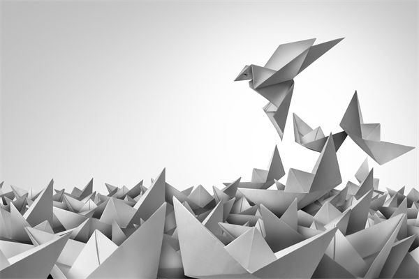 變革期文化斷層，如何用管理體系凝聚團隊共識？