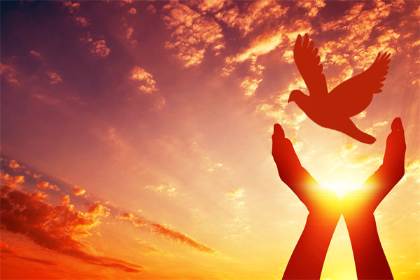 別讓盲卡盲盒“收割”孩子，關聯(lián)企業(yè)戰(zhàn)略怎么看？