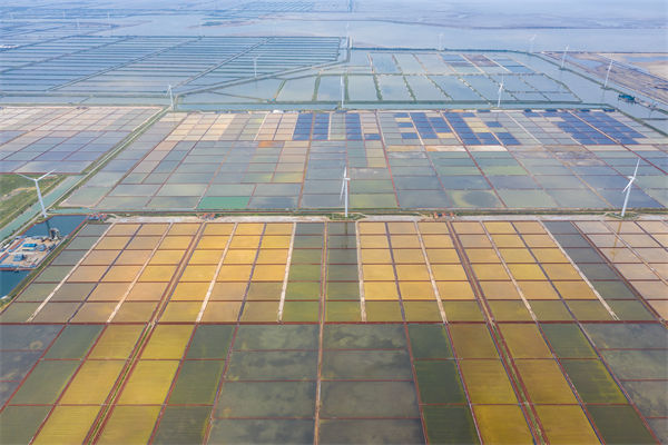 濰坊集團(tuán)子公司失控內(nèi)耗嚴(yán)重，濰坊集團(tuán)管控咨詢公司如何重構(gòu)權(quán)責(zé)體系？