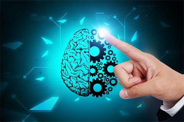 人力資源管理流程規(guī)范嚴(yán)謹(jǐn)，員工創(chuàng)造力為何反而受抑制？