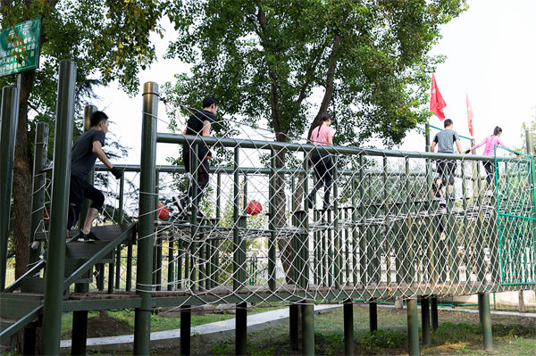 文化活動(dòng)形式豐富多樣，組織凝聚力提升為何緩慢？