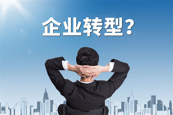 企業(yè)轉(zhuǎn)型無方向，數(shù)智化咨詢公司能否指引明路？