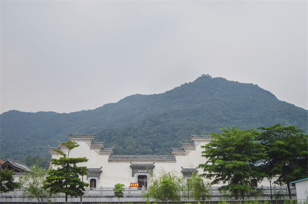 子公司各自為戰(zhàn)內(nèi)耗大，佛山集團(tuán)管控咨詢公司有何整合之道？