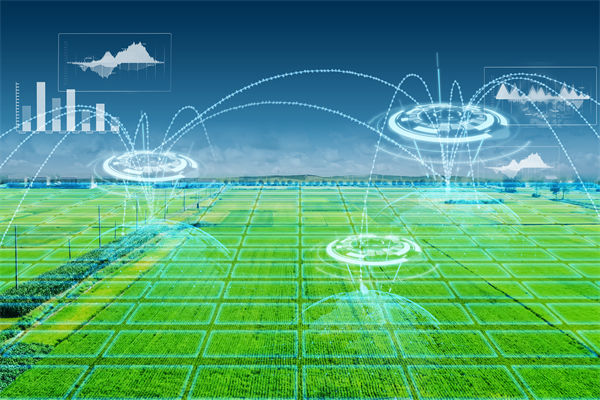 溫州種出2.1米高巨型水稻，精益生產(chǎn)怎么看？