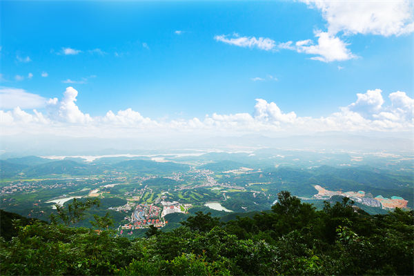 企業(yè)戰(zhàn)略飄在半空落地難，惠州戰(zhàn)略咨詢公司能錨定方向嗎？