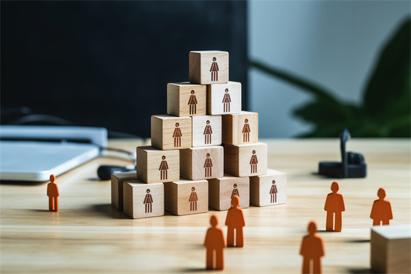 人力資源咨詢公司哪家好，適配企業(yè)戰(zhàn)略搭人才梯隊(duì)的