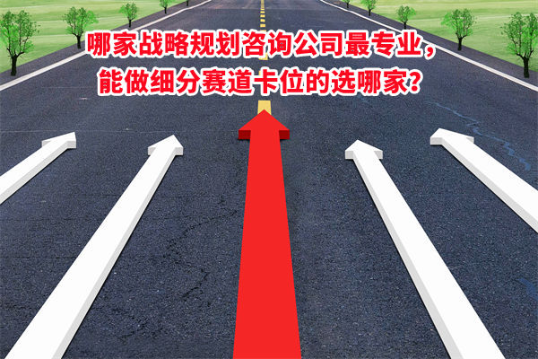 哪家戰(zhàn)略規(guī)劃咨詢公司最專業(yè)，能做細(xì)分賽道卡位的選哪家？